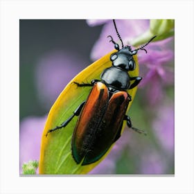 Beetle On Leaf Canvas Print