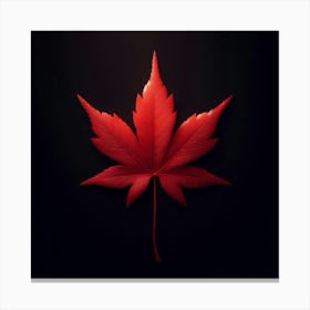 Canadian Maple Leaf 1 Canvas Print