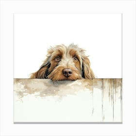 Spinone Italiano Dog 1 Canvas Print