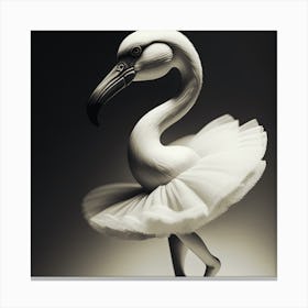 Flamingo 3 Canvas Print