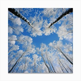 Snowy Forest In Winter Canvas Print