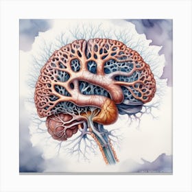 Human Brain 47 Canvas Print