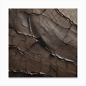 Cracked Concrete Texture Canvas Print