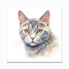 Russian Shorthair Cat Portrait Canvas Print