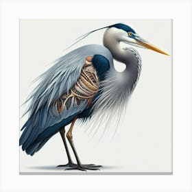 Blue Heron Canvas Print