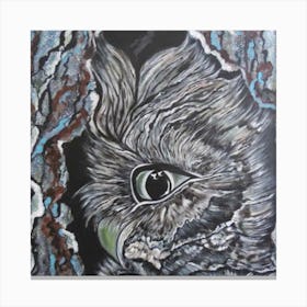 The Modern Abstract Art Painting On Barn Owl In The Wild Life Nature Canvas Print