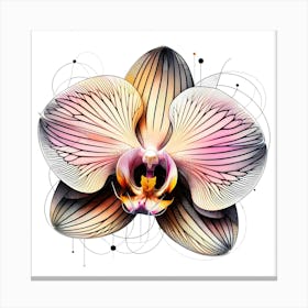 Orchid Blossom - Abstract Line Art Illustration 99 Canvas Print