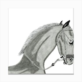 Horse Head Canvas Print