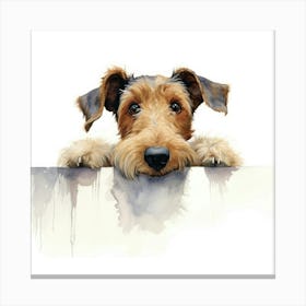 Irish Terrier 1 Canvas Print