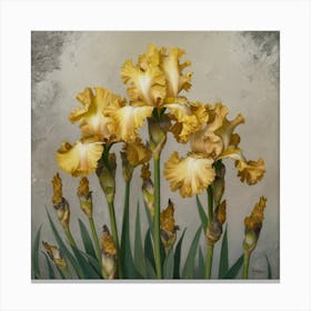 Golden Elegance Intricate Yellow Irises Against A Muted Backdrop (3) Canvas Print