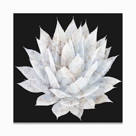Agave White Marble Canvas Print