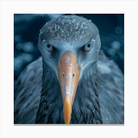 Arctic Tern 1 Canvas Print