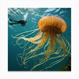 Jellyfish 1 Canvas Print