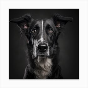 Portrait Of A Dog 14 Canvas Print