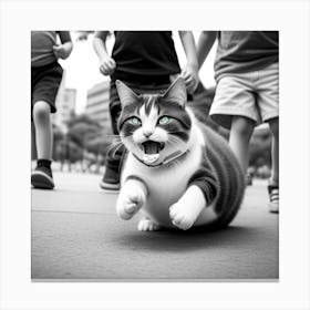 Cat Running In The Street Canvas Print