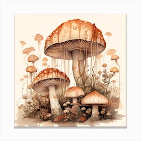 Mushrooms And Fungi Canvas Print
