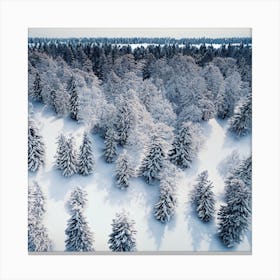 Aerial View Of A Winter Forest Canvas Print