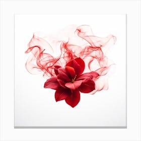 Red Flower With Smoke Canvas Print
