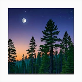 Tahoe Forest Canvas Print