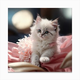 Kitten On A Pink Blanket Canvas Print
