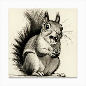 Squirrel Drawing 4 Canvas Print