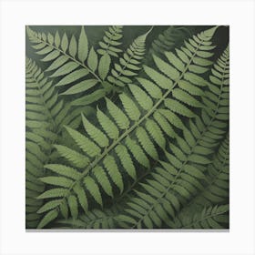Fern Leaves Funa Plants 1 Canvas Print