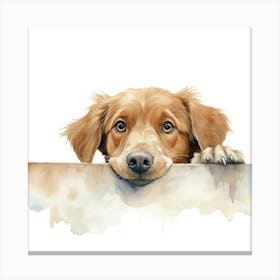 Golden Retriever 10 Canvas Print