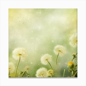 Dandelion Background 1 Canvas Print