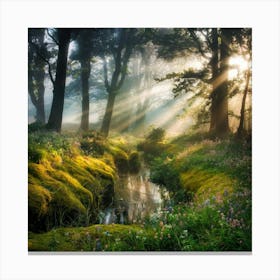 Stream In The Woods Canvas Print