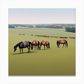 Horses In A Field 14 Canvas Print