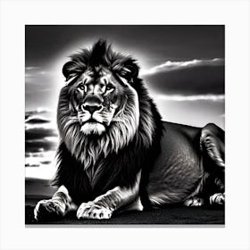 Lion In Black And White 6 Canvas Print