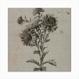 Bouquet Of Sunflowers Canvas Print