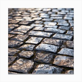 Cobblestone Road 7 Canvas Print