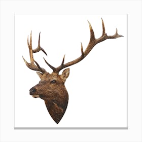 Deer Painting Canvas Print