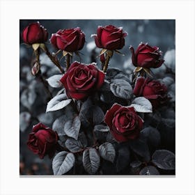 Dark Roses Canvas Print