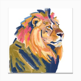 Barbary Lion 02 Canvas Print