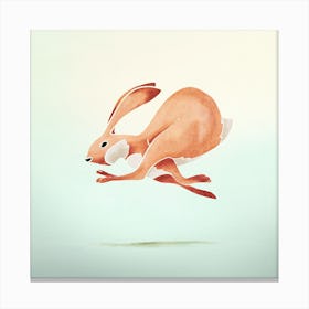 Rabbit  I Canvas Print