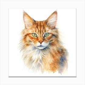 Somali Cat Portrait 1 Canvas Print