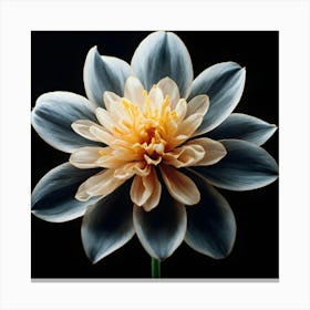 Lotus Flower Canvas Print