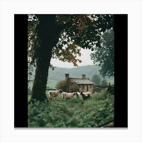 Sheep In A Field Canvas Print