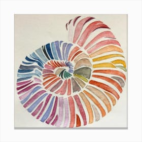 Multi colored Shell Canvas Print