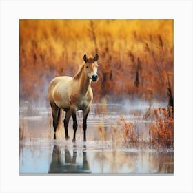 Horse Standing In Water Canvas Print