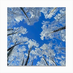 Snowy Forest Photo 1 Canvas Print