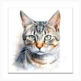 European Shorthair Cat Portrait 3 Canvas Print