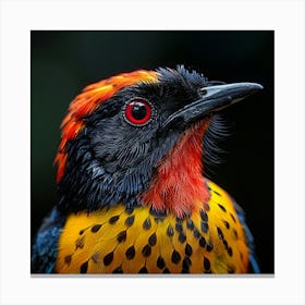 Colorful Bird 1 Canvas Print