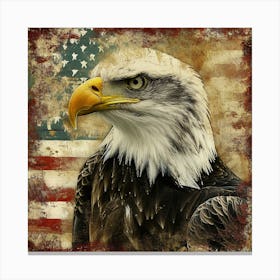 American Eagle 1 Canvas Print