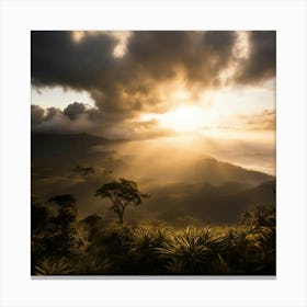 Sunset In The Rain Forest Canvas Print