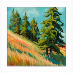 Cedar Trees On A Hillside Canvas Print