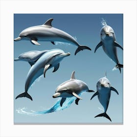 Dolphins 1 Canvas Print