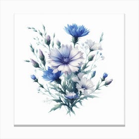 Flowers of Chicory 3 Canvas Print